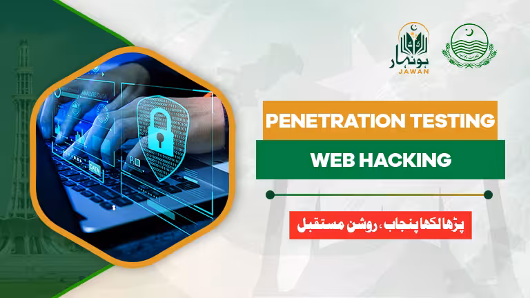 Penetration Testing Web Hacking